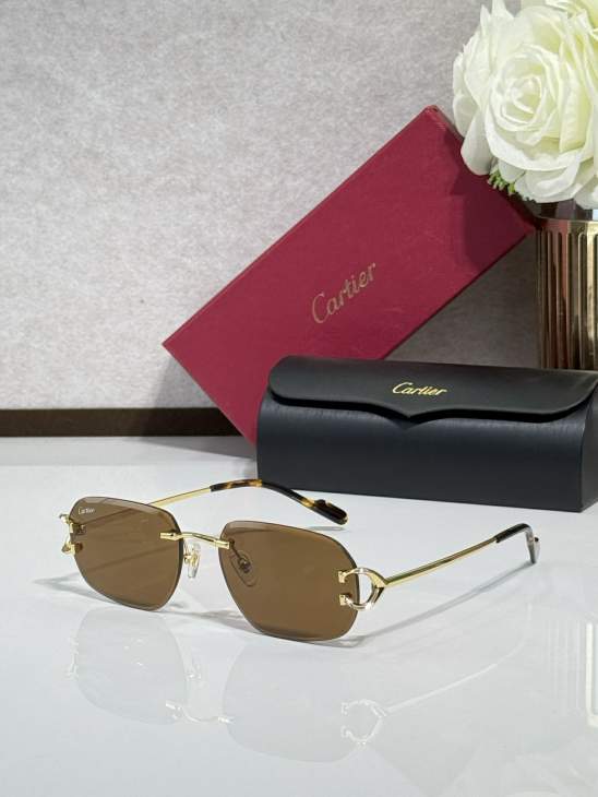 Picture of Cartier Sunglasses _SKUfw77816360fw